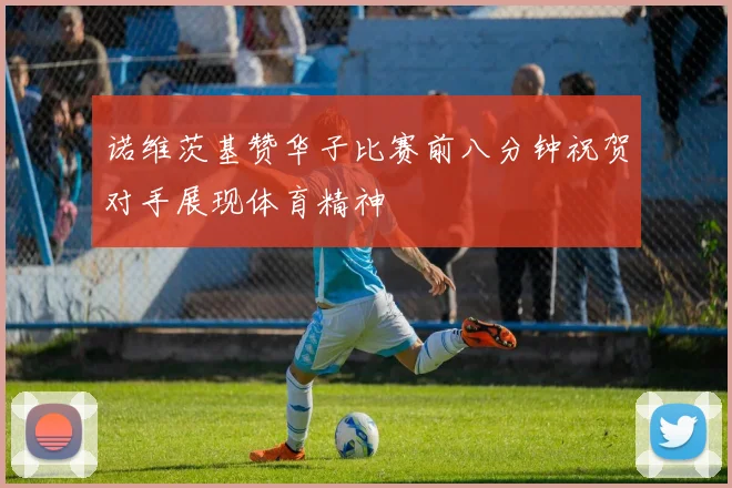 诺维茨基赞华子比赛前八分钟祝贺对手展现体育精神