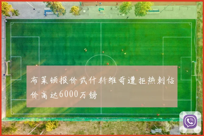 布莱顿报价武什科维奇遭拒热刺估价高达6000万镑