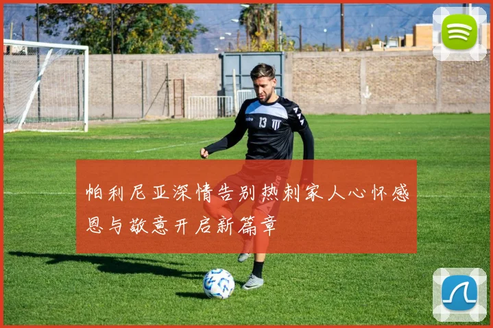 帕利尼亚深情告别热刺家人心怀感恩与敬意开启新篇章