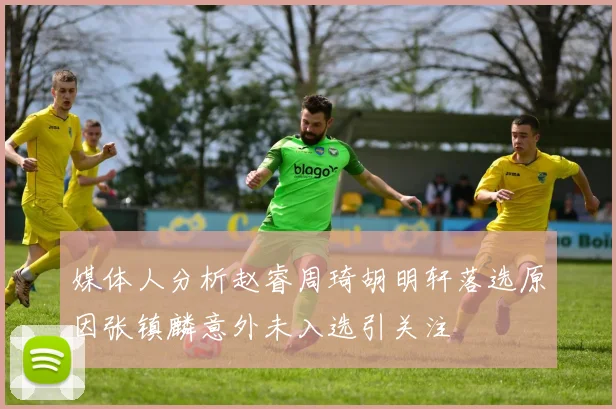 媒体人分析赵睿周琦胡明轩落选原因张镇麟意外未入选引关注