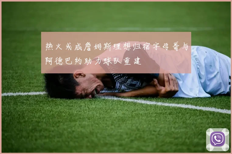 热火或成詹姆斯理想归宿字母哥与阿德巴约助力球队重建